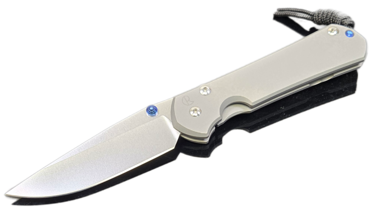Chris Reeve Knives Chris Reeve Large Sebenza 31 Drop Point Blade Plain Glass Blasted Handle (L31-1644)