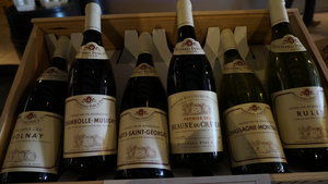 Understanding the Wines of Burgundy, France