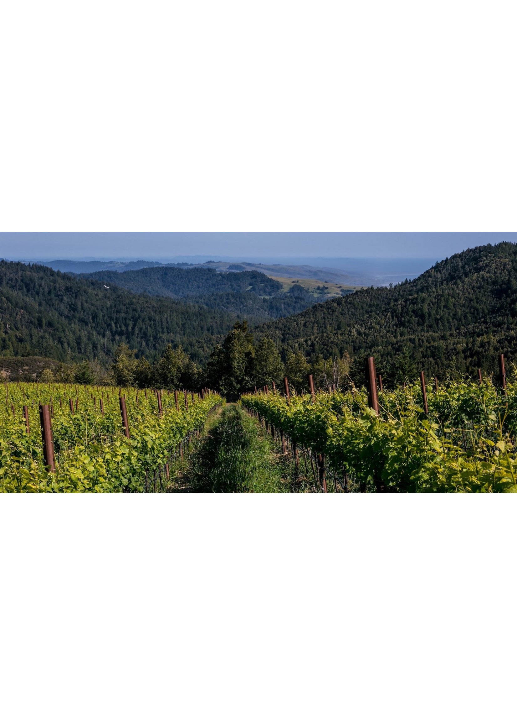 Pacific Coast Pinot Noir - Wine Class at Double Decanted on October 18, 2022