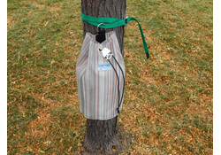 Down River All In One Bag