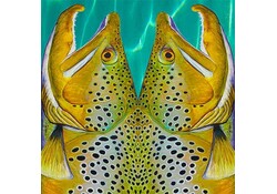 MXS Artisan Print Shaft w/Wrap & Stop