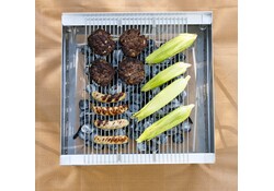 Fireside Outdoors Pop-Up Pit Grill Grate