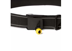 Quick-Release Throwbag Belt