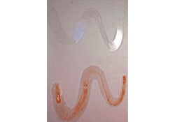 Inflatable Boat interior Sealant