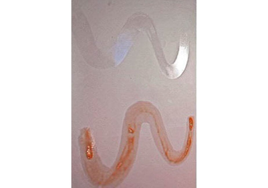 Inflatable Boat interior Sealant