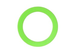 Carlson Pump Foam O-ring