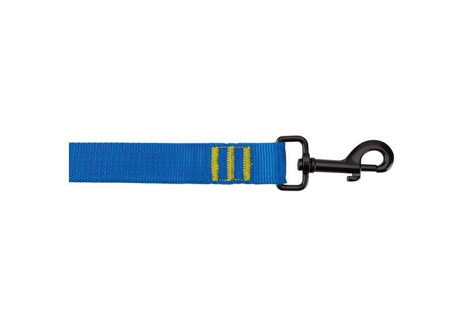 NRS Dog Leash - Closeout*