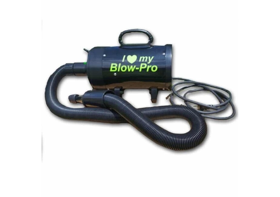 Blow-Pro Raft Blower Pump and Suck