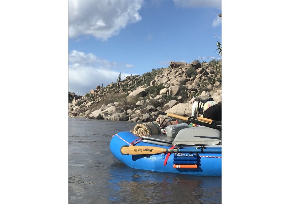 Rapid Rung 2 Step Swim Ladder