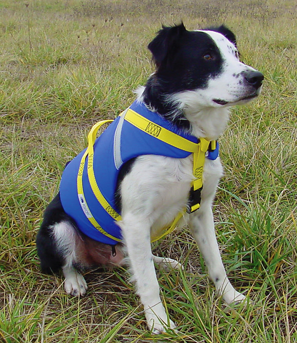 Whitewater Designs Fido Float Utah Whitewater Gear