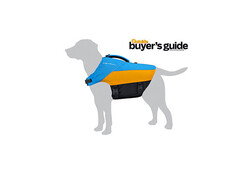 Bird Dog