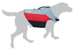 Bird Dog