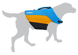 Bird Dog