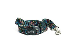 Chaco Dog Leashes