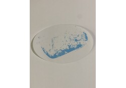 UWG Classic Logo Sticker