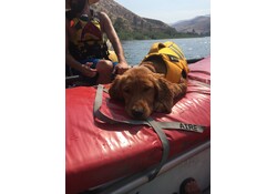 30" Ultra Landing Pad