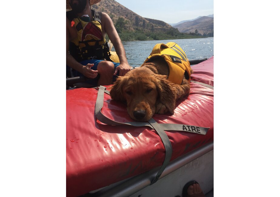 30" Ultra Landing Pad