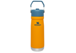 Stanley The Iceflow Flip Straw Bottle 22OZ