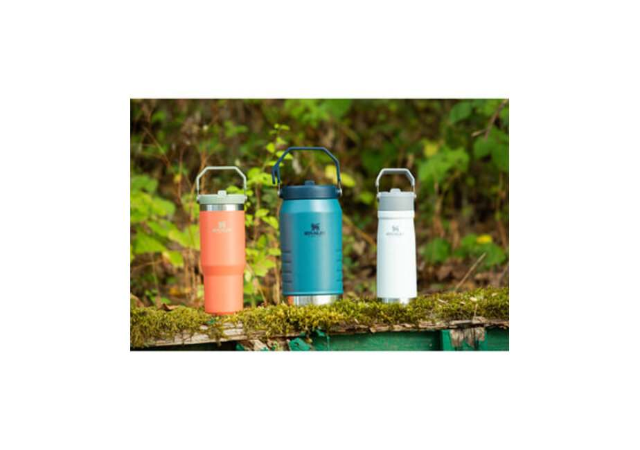 Stanley The Iceflow Flip Straw Bottle 22OZ