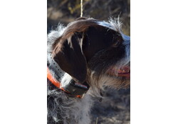 Karmik Outdoors Premium Anywhere Decal