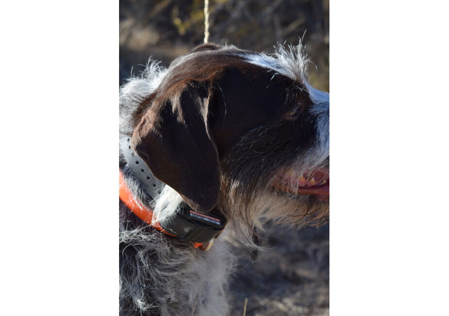 Karmik Outdoors Premium Anywhere Decal