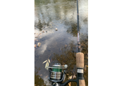 Karmik Outdoors Premium Anywhere Decal