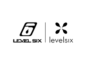 level 6