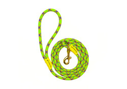 Sterling Dog Leash