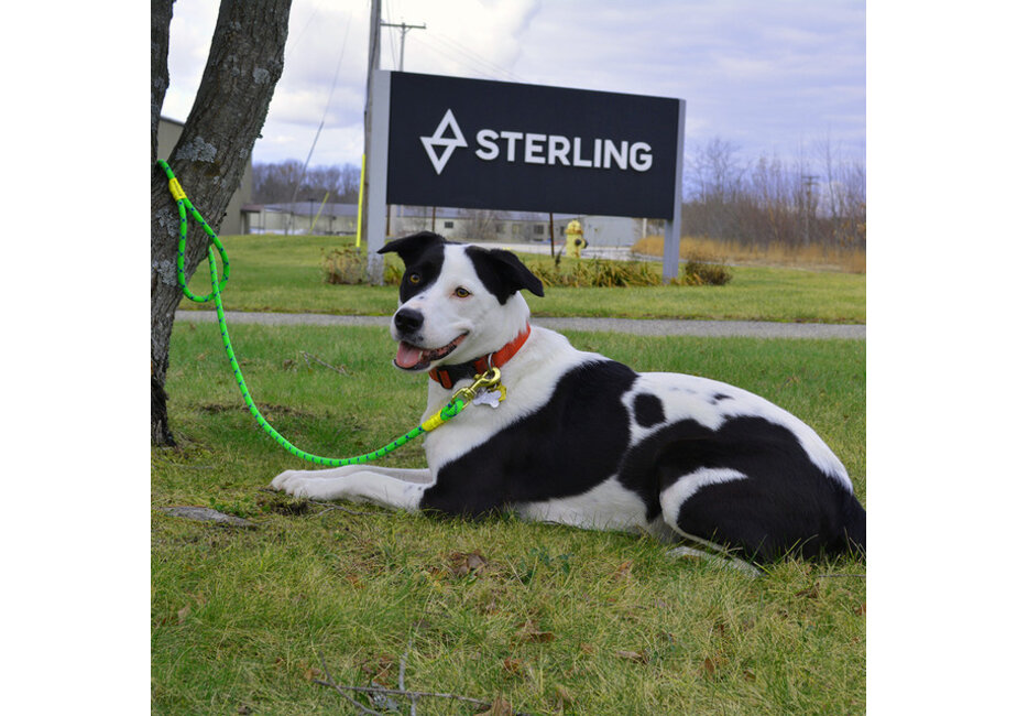 Sterling Dog Leash