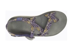 Chaco Men's Z/2 Classic Sandals - Closeout*