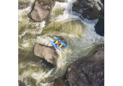 Badfish Hammer Paddle Cat