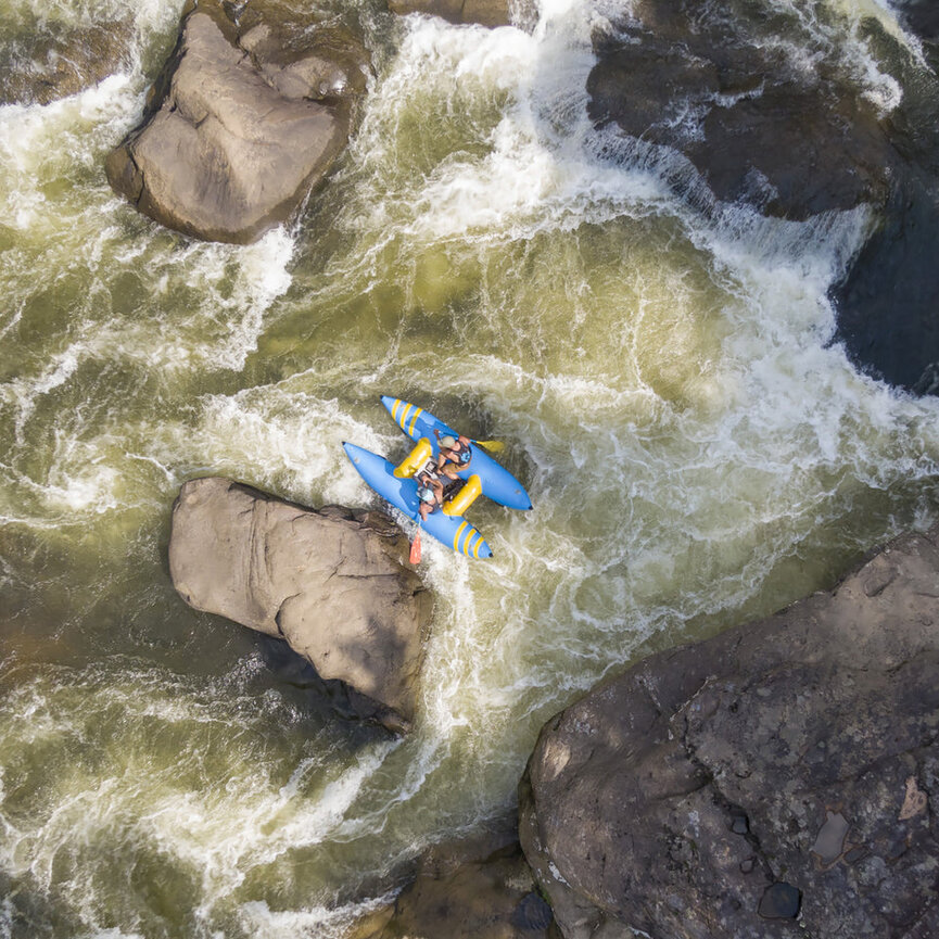 Badfish Hammer Paddle Cat