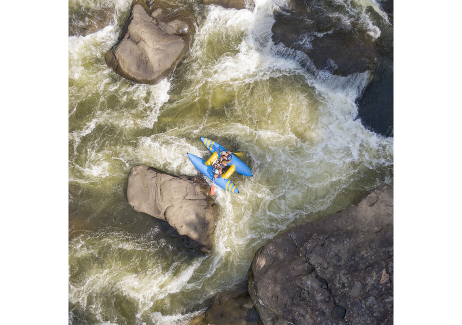 Badfish Hammer Paddle Cat
