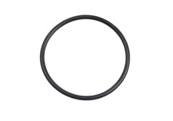 Carlson Pump Rubber O-ring