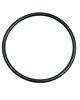 Carlson Pump Rubber O-ring