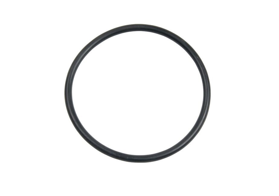 Carlson Pump Rubber O-ring