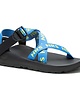 Chaco Men's Z/1 Classic with NRS Strap Webbing - Closeout*