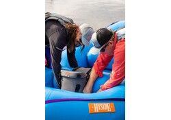 Hyside Thwart Handle and Case