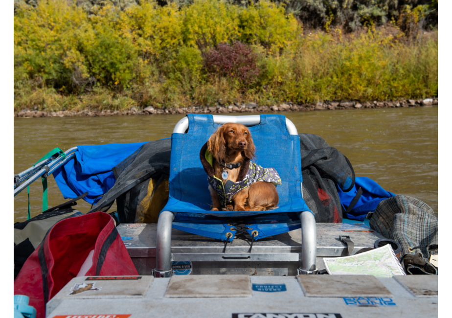 Captain's Chair (Older XD) For 1.5" & 1.25"* XD Pipe
