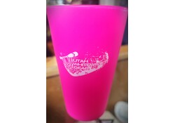 UWG Silicone Pint Glasses