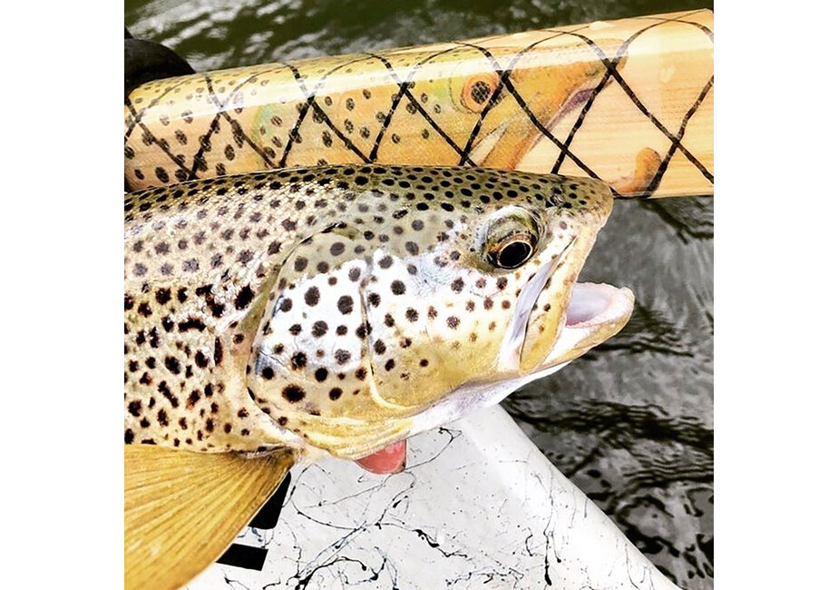 Brown Trout SquareTop Oar