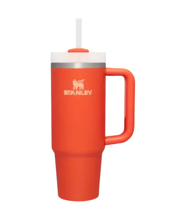 Stanley Quencher H2.0 Flowstate™ TUMBLER | 30 OZ