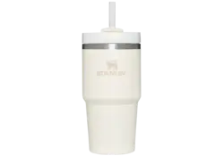 Stanley Quencher H2.0 Flowstate™ TUMBLER | 20 OZ