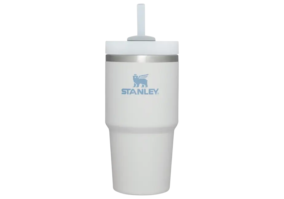Stanley Quencher H2.0 Flowstate™ TUMBLER | 20 OZ