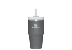 Stanley Quencher H2.0 Flowstate™ TUMBLER | 20 OZ