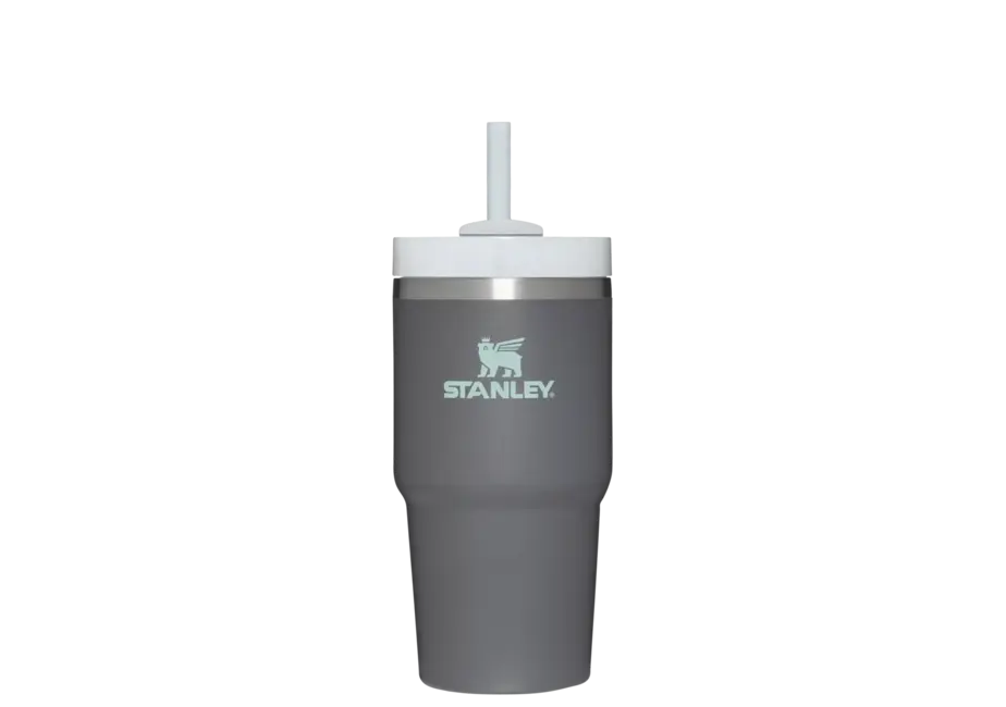 Stanley Quencher H2.0 Flowstate™ TUMBLER | 20 OZ