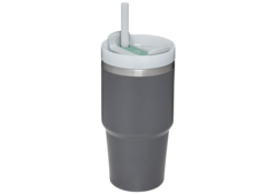 Stanley Quencher H2.0 Flowstate™ TUMBLER | 20 OZ