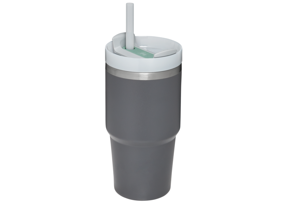 Stanley Quencher H2.0 Flowstate™ TUMBLER | 20 OZ