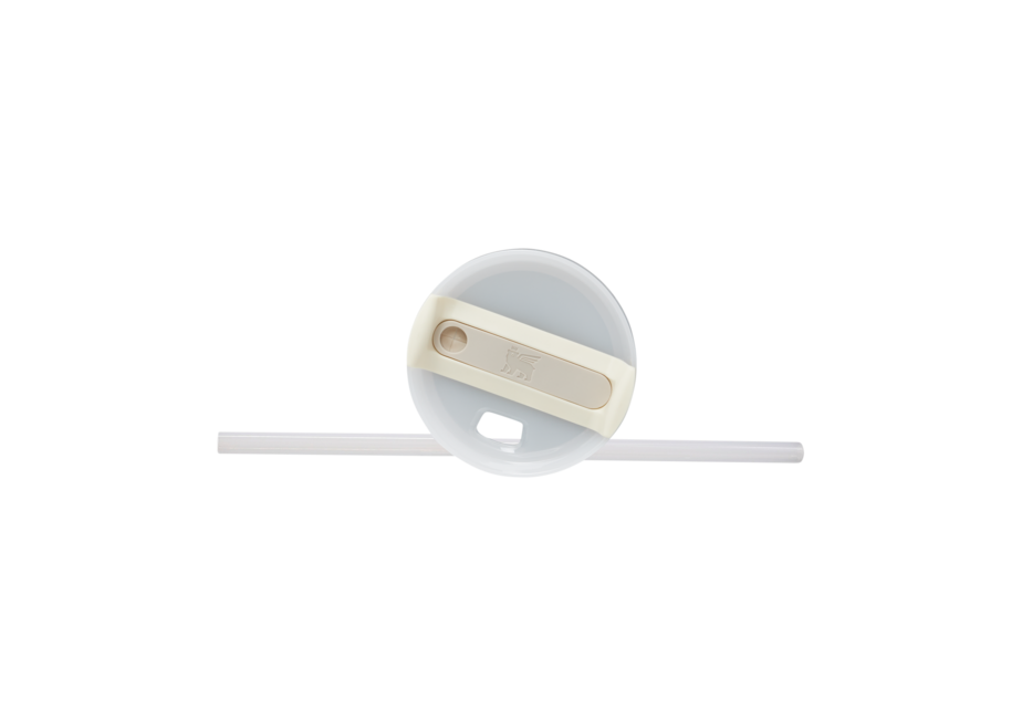 Stanley Quencher H2.0 Flowstate™ TUMBLER | 20 OZ