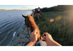 GoPro Head Strap 2.0